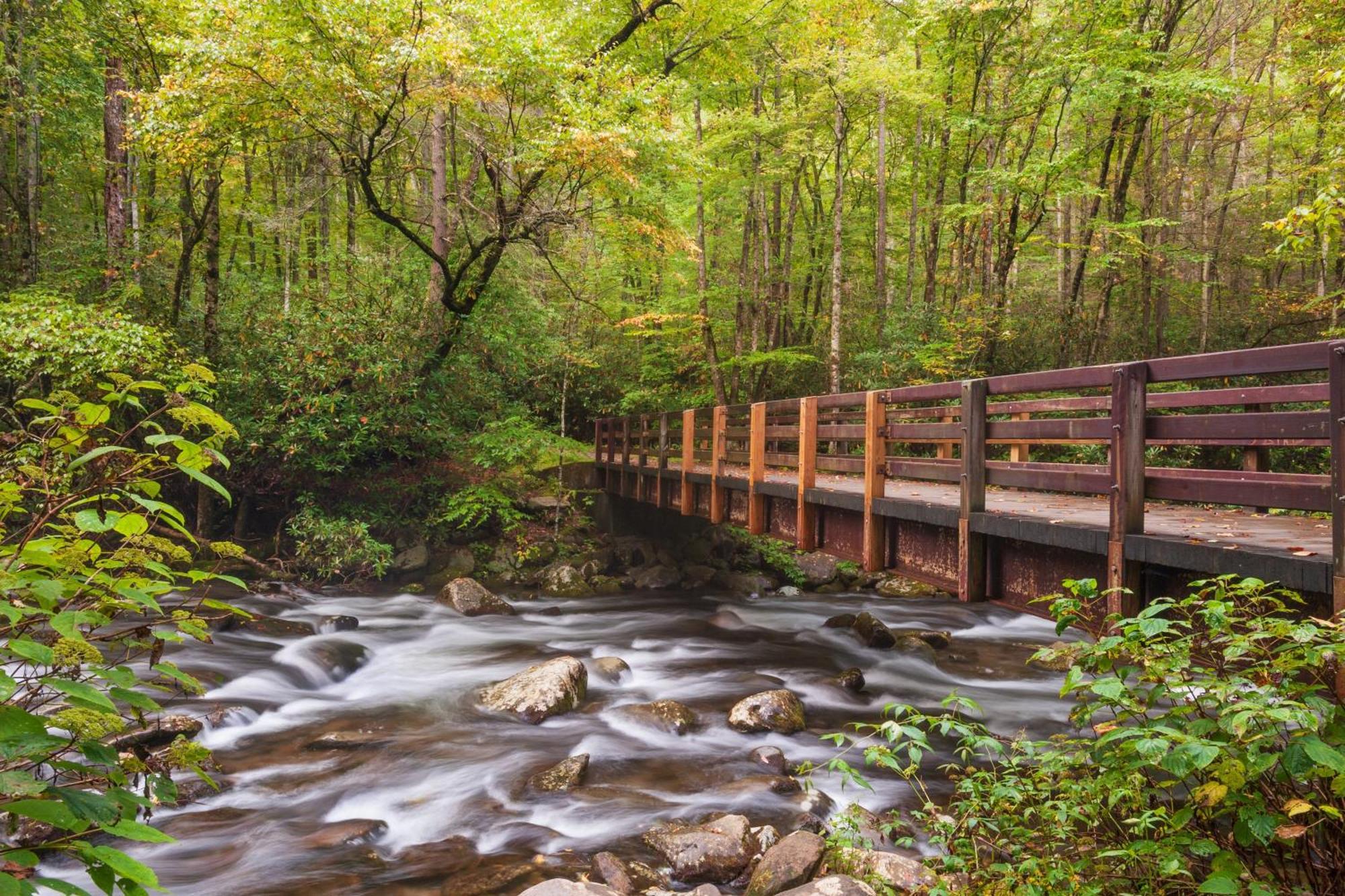 Amazing Grace-1089 Of Free Area Attraction Tickets For Each Paid Day!!! Βίλα Sevierville Εξωτερικό φωτογραφία